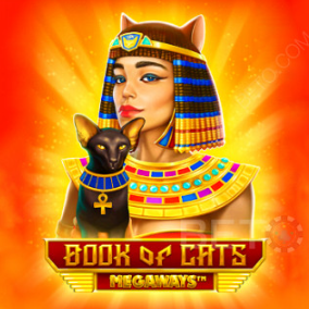 King Johnnie Casino: Book of Cats